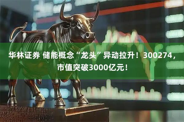 华林证券 储能概念“龙头”异动拉升！300274，市值突破3000亿元！