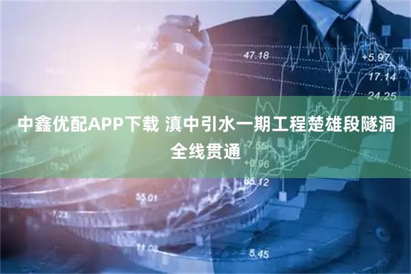 中鑫优配APP下载 滇中引水一期工程楚雄段隧洞全线贯通