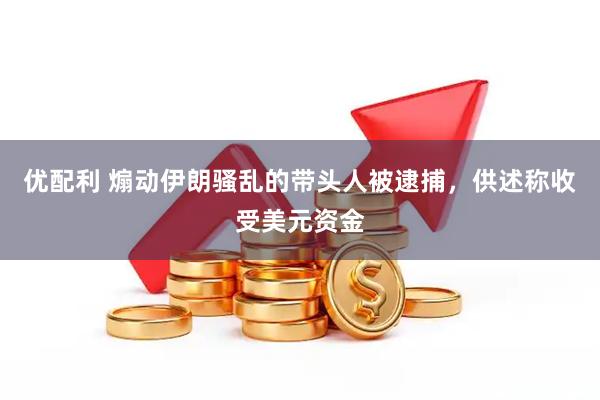 优配利 煽动伊朗骚乱的带头人被逮捕，供述称收受美元资金